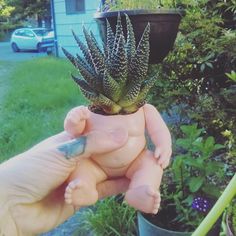 a hand holding a baby doll with a plant in it's mouth and the top part of its body