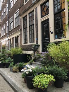 many potted plants on the sidewalk in front of a building with windows and doors