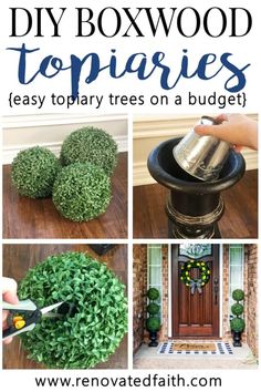 diy boxwood topiaryes are easy to make