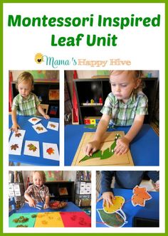 the montessoi inspired leaf unit is perfect for toddlers to learn how to use it