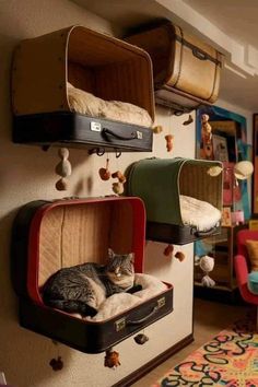 a cat laying in an open suitcase on top of a rug next to other luggage