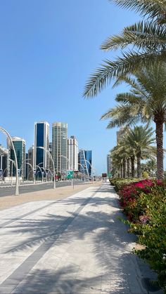 palm trees and flowers line the sidewalk in front of tall buildings on a sunny day