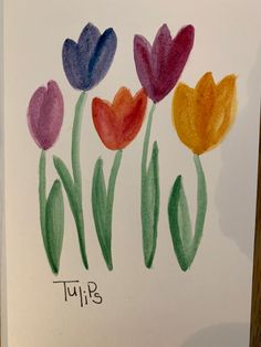 a drawing of tulips with the word tulip written on it in colored ink