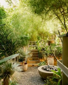 an outdoor garden with lots of plants and rocks in the center, along with steps leading up to it