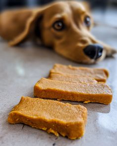 a dog laying on the floor next to some food pieces that have been cut in half