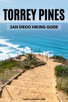 the steps leading to torrey pines in san diego hiking guide with text overlay