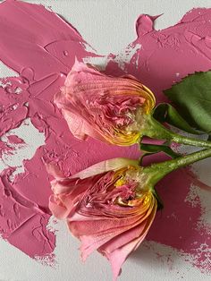 two pink flowers with green leaves on a white surface and paint splattered in the background