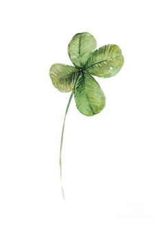 a four leaf clover is shown in this watercolor painting by artist susan grisell