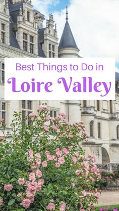 pink flowers in front of a castle with the words best things to do in loire valley