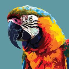 a colorful parrot is standing on its hind legs