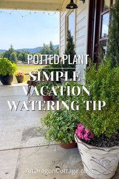 potted plant on the front porch with text overlay that reads, potted plant simple vacation watering tip