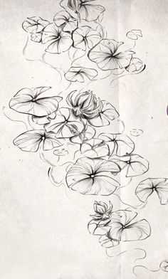 an ink drawing of flowers on paper