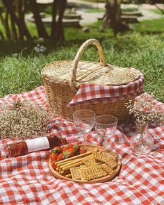 a picnic with wine, crackers and strawberries