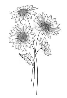 black and white drawing of three sunflowers