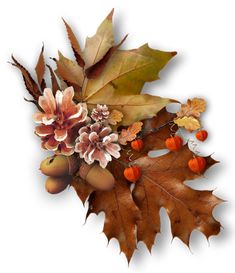 an arrangement of autumn leaves and acorns