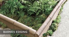 an image of a garden with plants growing on the sides and in the middle that says barriers edging