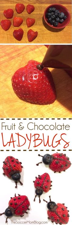 some strawberries and chocolate ladybugs on a table with the words fruit & chocolate ladybugs