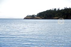 a body of water with trees in the background and an object floating on top of it