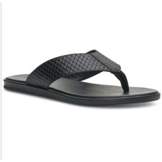 About This Item. Vince Camuto Brings A Luxe-Look To Laidback Casual Fashion With The Woven Look Leather Strap Of Its Waylyn Thong Sandals. Open Round-Toe Slip-On Thong-Style Sandals Woven-Look Thong Strap Leather Upper; Polyurethane Lining; Rubber Outsole Imported We Ship Fast, And We Ship Out Same Business Day. We Do Not Accept Returns Over 30 Days Of Delivery Date. Refer To Ebay’s Return Policy To See If Item Is Eligible For Return. Features: Sandals Condition: New With Box Black Leather T-strap Flip Flops, Black Classic Toe Post Sandals, Classic Black Toe Post Sandals, Black Leather Flip Flops With Leather Footbed, Black T-strap Flip Flops With Cushioned Footbed, Black Leather Toe Post Flip Flops, Black Leather Sole Slip-on Flip Flops, Black Flip Flops With Leather Footbed, Black Leather Slip-on Flip Flops