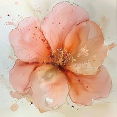 a pink flower with brown spots on it's petals and water droplets around the petals