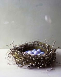 a bird nest with eggs in it on top of a white countertop next to a wall