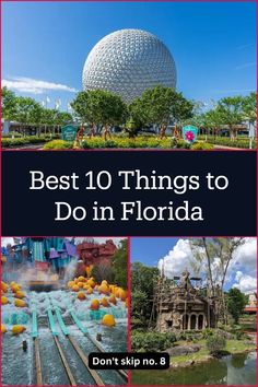 the top 10 things to do in florida