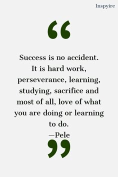 a quote with the words success is no accident it is hard work, persence, learning, studying, and most of all love of what you are doing or learning to do