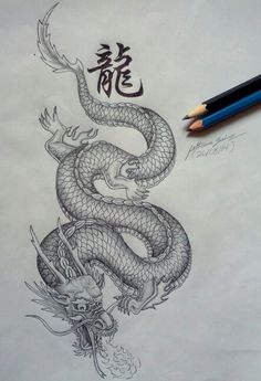 a pencil drawing of a dragon with chinese characters on it's back and side