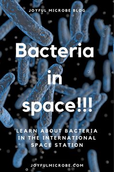 an image of some blue and white stuff with the words bacteria in space