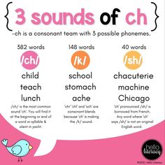 the three sounds of ch poster is shown in pink and white with an image of a bird