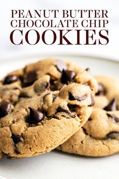 two peanut butter chocolate chip cookies on a white plate with text overlay that reads, peanut butter chocolate chip cookies