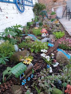 the garden is full of plants and rocks