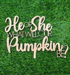 a wooden sign that says, she is he or her pumpkin be? on green grass