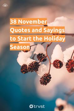 snow covered branches with text that reads, 3 november quotes and sayings to start the holiday season