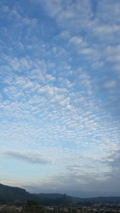 a bench sitting on top of a lush green field under a blue sky with clouds