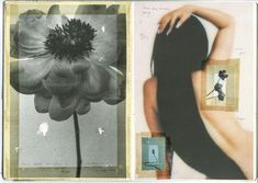 an altered photograph of a woman's body and flower