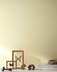 a shelf with two framed pictures and some seashells next to it on top of a table