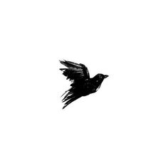 a black and white photo of a bird flying