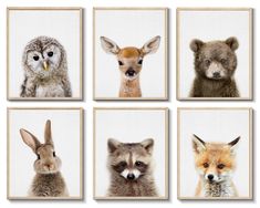 four pictures of different types of animals on white paper, each with an animal's face