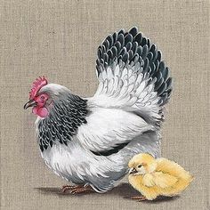 a painting of a chicken and its chickling