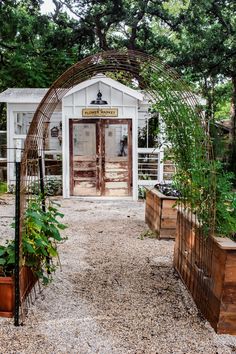 an outdoor garden with lots of plants in it