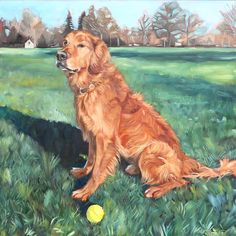 a painting of a golden retriever sitting in the grass next to a yellow ball