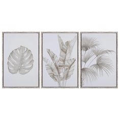 three framed pictures with leaves on them in grey and white colors, one has a palm tree