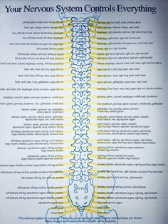 Yoga For Spine Health, Globus Sensation Relief, January Snacks, Cranial Sacral Therapy, Brain And Spine, Nervus Vagus, Craniosacral Therapy, Spine Health, Medical School Studying