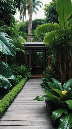 a wooden walkway surrounded by lush green plants