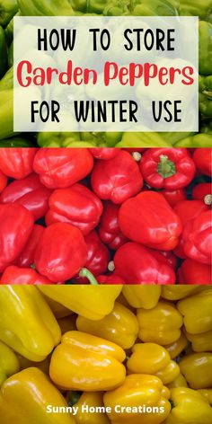 red and yellow peppers with the words how to store garden peppers for winter use