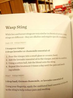 Baking Soda Paste For Bee Sting, Essential Oils For Wasp Stings, Essential Oil Wasp Sting, Wasp Sting Remedy Swelling