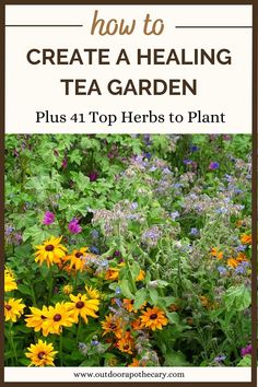 a field full of flowers with the title how to create a relaxing tea garden plus 4 top herbs to plant