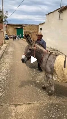 a donkey with a blanket on its back is walking down the street in front of a man