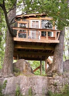 a tree house built into the side of a cliff